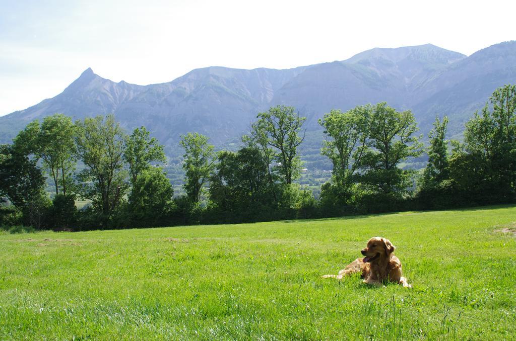 Vvf Les Ecrins Champsaur Hotel Saint-Bonnet-en-Champsaur Eksteriør billede