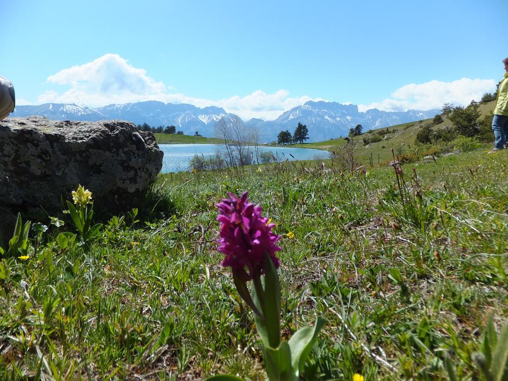 Vvf Les Ecrins Champsaur Hotel Saint-Bonnet-en-Champsaur Eksteriør billede